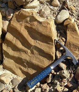 Sedimentary structures - Alchetron, The Free Social Encyclopedia