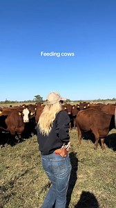 18K views · 274 reactions | #cute #cutebaby #baby #toddler #farmer #farming #adorable #littlehelper #cow #cows #fyp #viral #usa #newyork #cowusa #livestockshow #stockshowlife #granddrive #marketsteer #showsteer #steershow #showcattle | Cow lover | Facebook