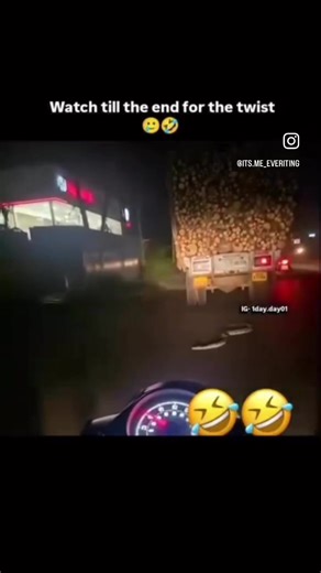 Rata se come una víbora jajaja #fy #vibora #ratones #fyp #fypシ