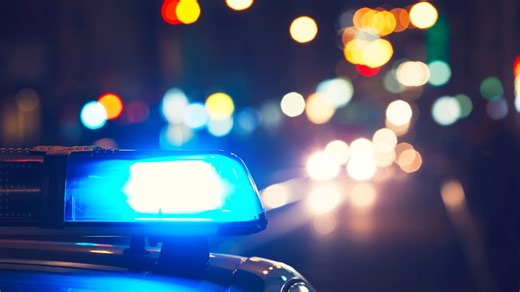 ‘Small problem’: Cops warned hybrid cars may overheat in extreme conditions