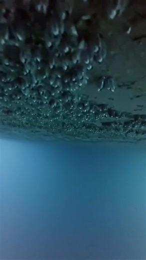 103K views · 2.3K reactions | Underwater Hull Cleaning 錄 | Seaman Worldwide | Facebook