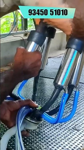 Best Milking Machines for Dairy Farmers Efficient & Hygienic Milking 🐄 #milkmachine Modern Dairy