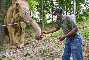Elephant Shirley’s former caretaker in Monroe passes away