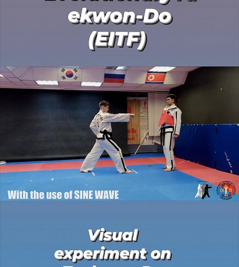 Evolutionary Taekwon-Do EITF #taekwondo #itf # #tkd #eitf | Rudolf Kang