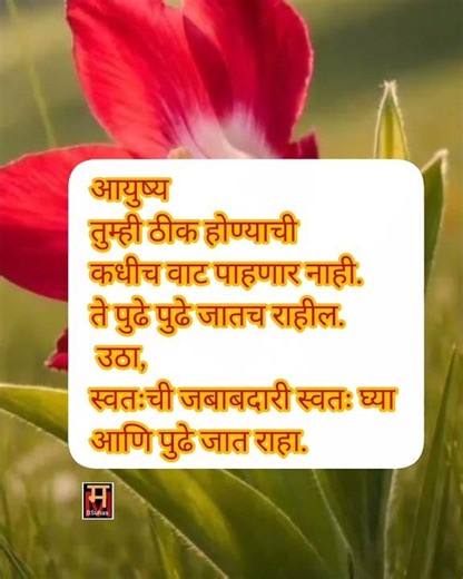 Marathi reels | marathi shorts | Marathi motivation | marathi entertainment | suvichar