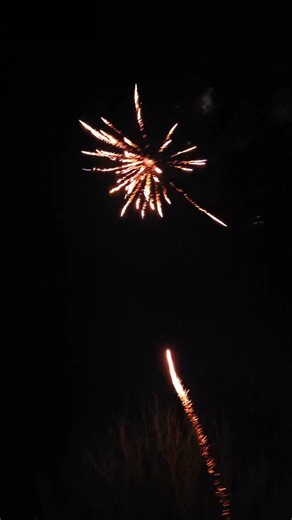 Dancing Flowers 25 shots (Red Lantern) #fireworks #pyro #pyrotechnica