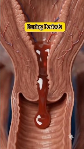 Why Does the Uterus Contract During a Period? 🔬