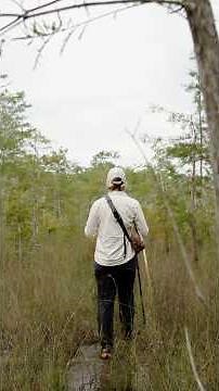 Explore the natural side of Naples, Marco Island and the Everglades at Big Cypress