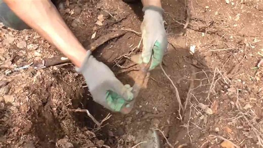 Metal detecting Battle of the Bulge, Rhineland offensive & more