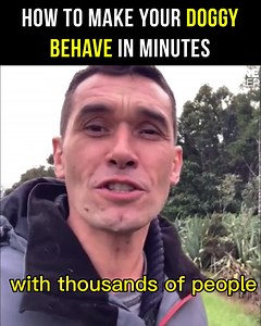 The ‘Dog Calming Code™️’ can help you go from “bad dog” to “who’s a good boy?” in just a few minutes! 🐶 Because it teaches you the 5-Golden Rules… which stops your dog from thinking they’re the one in charge and communicates with them - in their “doggy language” - that you’re the loving pack leader. 🐕 Get all This And More By Clicking The Link Below 👇👇👇 Your friend, ~ Doggy Dan | Doggy Dan