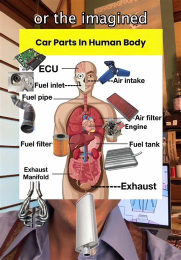 Effective Development Structuring and Operations