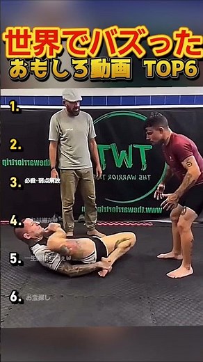 【俺の厳選】世界でバズった動画集🐾Part12