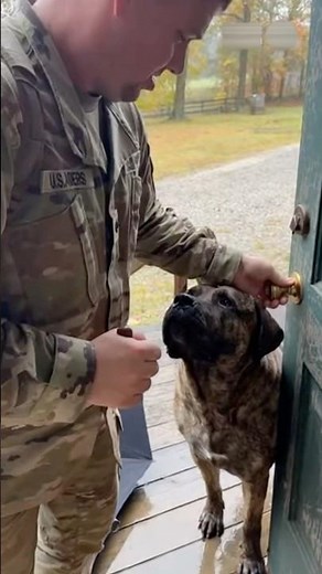 Soldier reunites with his dog after returning home #dog #pet #soldier #love #missyou
