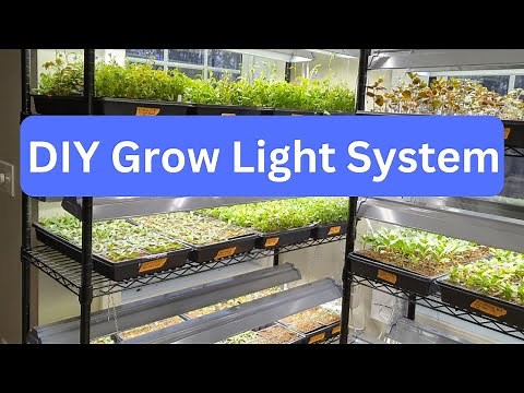 Best Grow Lights | Grow Room Tour For Indoor Plants | Affordable & Easy || Budget Gardening