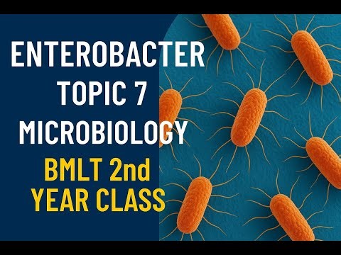 Enterobacter | Topic 8 Microbiology | BMLT 2nd Year Class
