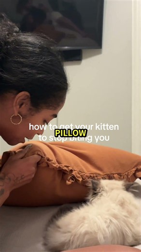 How to Get Your Cat to STOP BITING... 😿