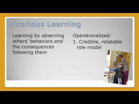 Social Cognitive Theory: a Health Promotion Perspective