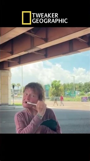 The Tusk Brushing Ritual #tweakers #fypシ #funny #nature #viral