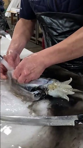 Amazing Cuttlefish Cutting Skills at Fish Market Seafood Prep