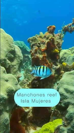 Scuba diving in Cancun #cancun #travel