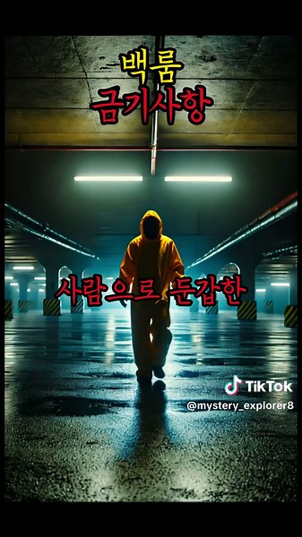 백룸 금기사항: 미스테리와 괴담의 공포 세계