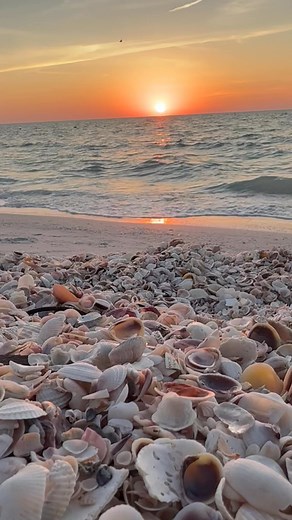 Mike Crabtree on Reels