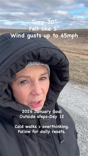 Day 12-Outside Steps Wicked wind, freezing temps, but the sun was out and steps are done! #steps #walk #shoeson #letsdothis