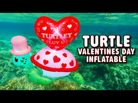 Turtle Valentines Inflatable