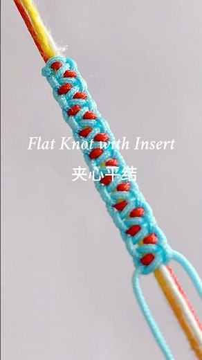 How to Tie a Flat Knot With Insert | 夹心平结 Knot Tutorial for Crafts & Macrame #diy #handmade