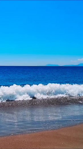 Daily Cat Memes Compilation - Funny Cat Videos