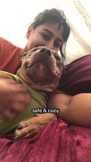 The Joy of Rescue Dogs: Meet My Sweet Pitbull
