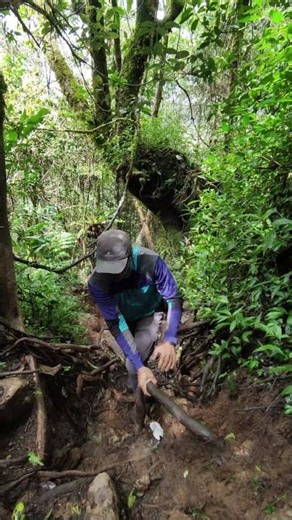 Jalur mirip gunung Kerinci 🔥 jalur pendakian puncak besar gunung Malabar via Kopi Magma 🔥 #pendaki