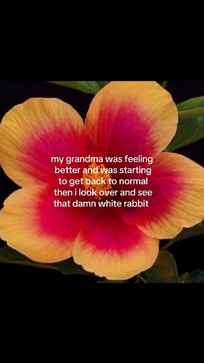 My Grandma Passed Away Yesterday Morning