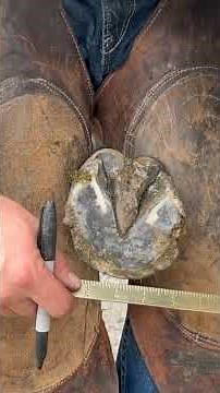 8" Brass Ruler Tips and Tricks