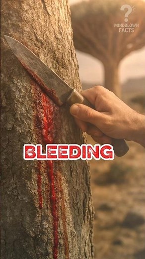 The Tree That Bleeds