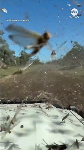 Fear Factor Friday! Beats traffic jam on I-10.