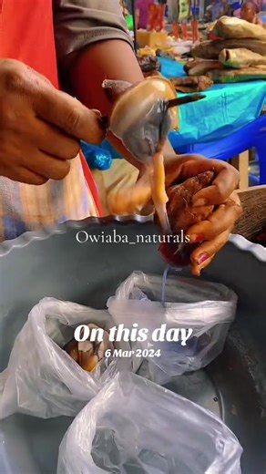 Preorder Fresh and Dried Snails in Ghana