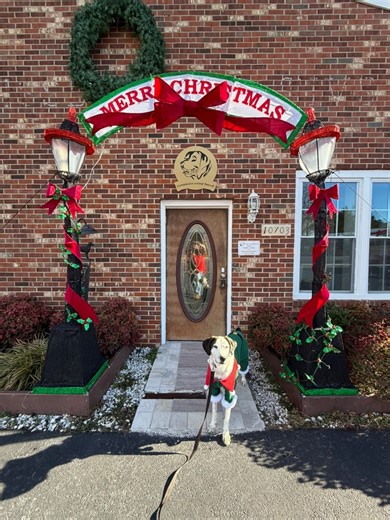 Seeing our alumni return, watching our adoptable dogs feel so loved, and celebrating the many lives changed through adoption at our Santa Paws event filled our hearts beyond words. It was a day full of joy, hope, and second chances. We are so incredibly grateful to every volunteer who showed up with love in their hearts and helped make this day so special. These moments are why we do what we do. ❤️🐾 | Compassion Animal Rescue