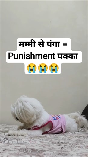 Happy का attitude भारी पड़ा 😆 Punishment time!”
