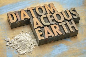 How To Use Diatomaceous Earth In Potted Plants (With Videos)