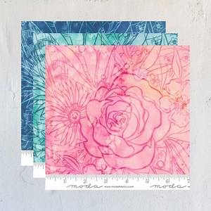 159 reactions · 14 comments | Introducing the Coming Up Roses...