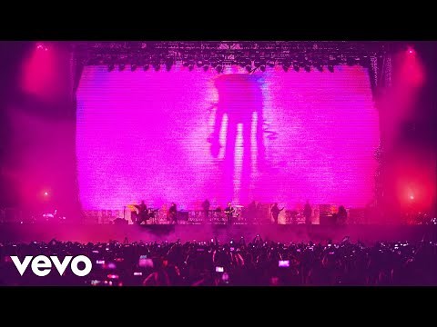 Zoé - Memo Rex (Visualizer/ En Vivo)