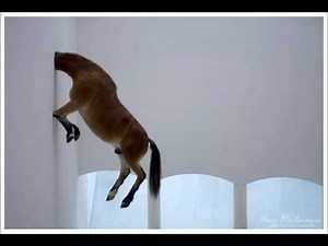 Lil Jon-Get low (to the window to the wall)(Bass Boosted)