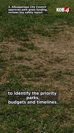 6.7K views · 71 reactions | 4 Stories for Dec. 2, 2025: 1. Suspect sought for shooting Rio Rancho dog 5 times during walk 2. Who is handing out ‘I Love Tim Keller’ sweatshirts to homeless people? 3. ABQ park grass funding, bus safety report approved 4. Festival of Trees benefit revived Follow KOB for more. | KOB 4 | Facebook