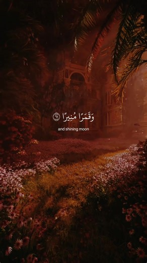 A peaceful recitation of the holy Quran moment 🕊️🤍 #quranrecitation #قران_كريم #fpy #treanding #عبدالرحمن_مسعد