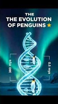 DID PENGUINS REALLY EVOLVE LIKE THIS? 😳🐧