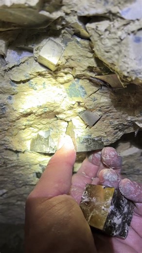 Mining Pyrite crystals #mining #crystals #pyrite #pyritecubes #minerals