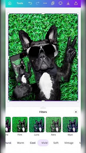 How to add a ripped photo paper effect to your graphics in Canva