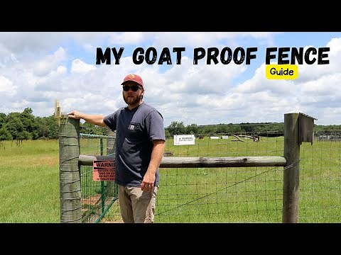 This is the PERFECT Fence for Goats—The Ultimate Guide to Pasture Setup | Design Homestead