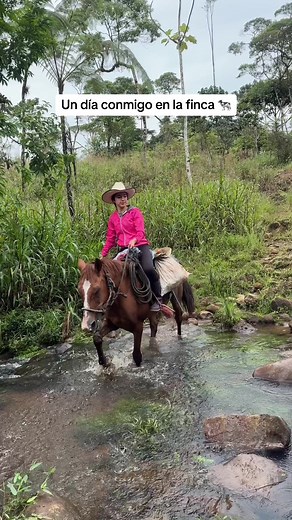A Day in My Countryside Life - Exploring Nature and Farm Animals